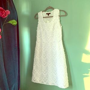 NWT Pretty BR garden party dress